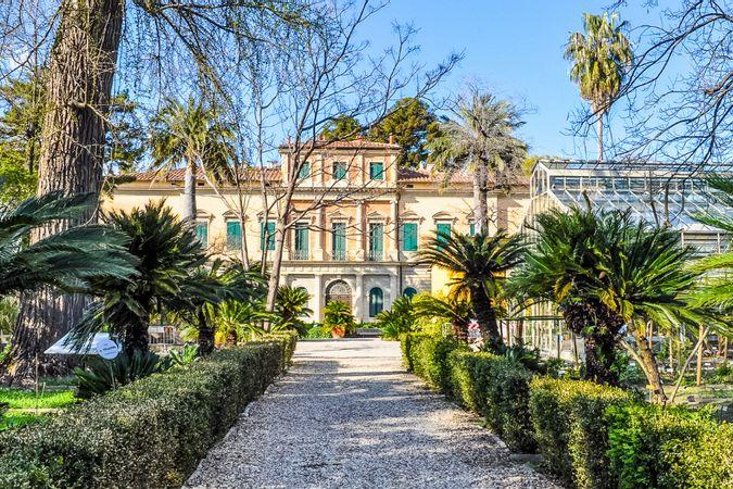 Viali e collezioni botaniche dell'Orto Botanico di Pisa